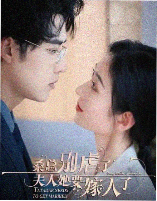 剧集图鉴字段扩充资讯配图